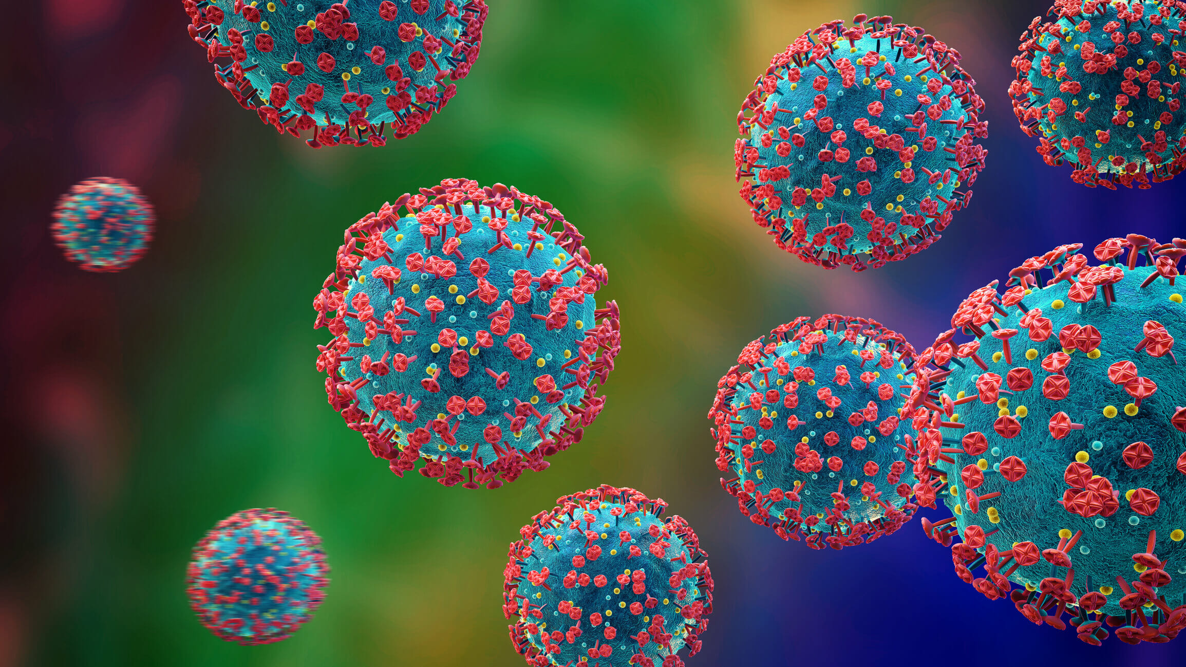 The Hanta Virus